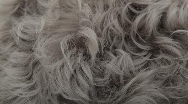 Lambskin Vest – Liz